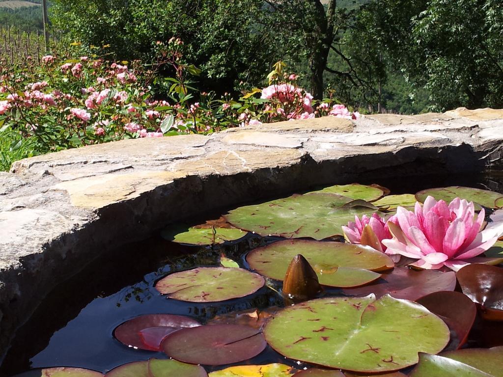 Fattoria Poggerino Bed & Breakfast ราดดา อิน เคียนติ ห้อง รูปภาพ